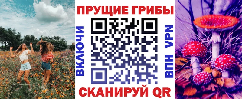 Псилоцибиновые грибы Psilocybe  Купить закладки  Учалы 